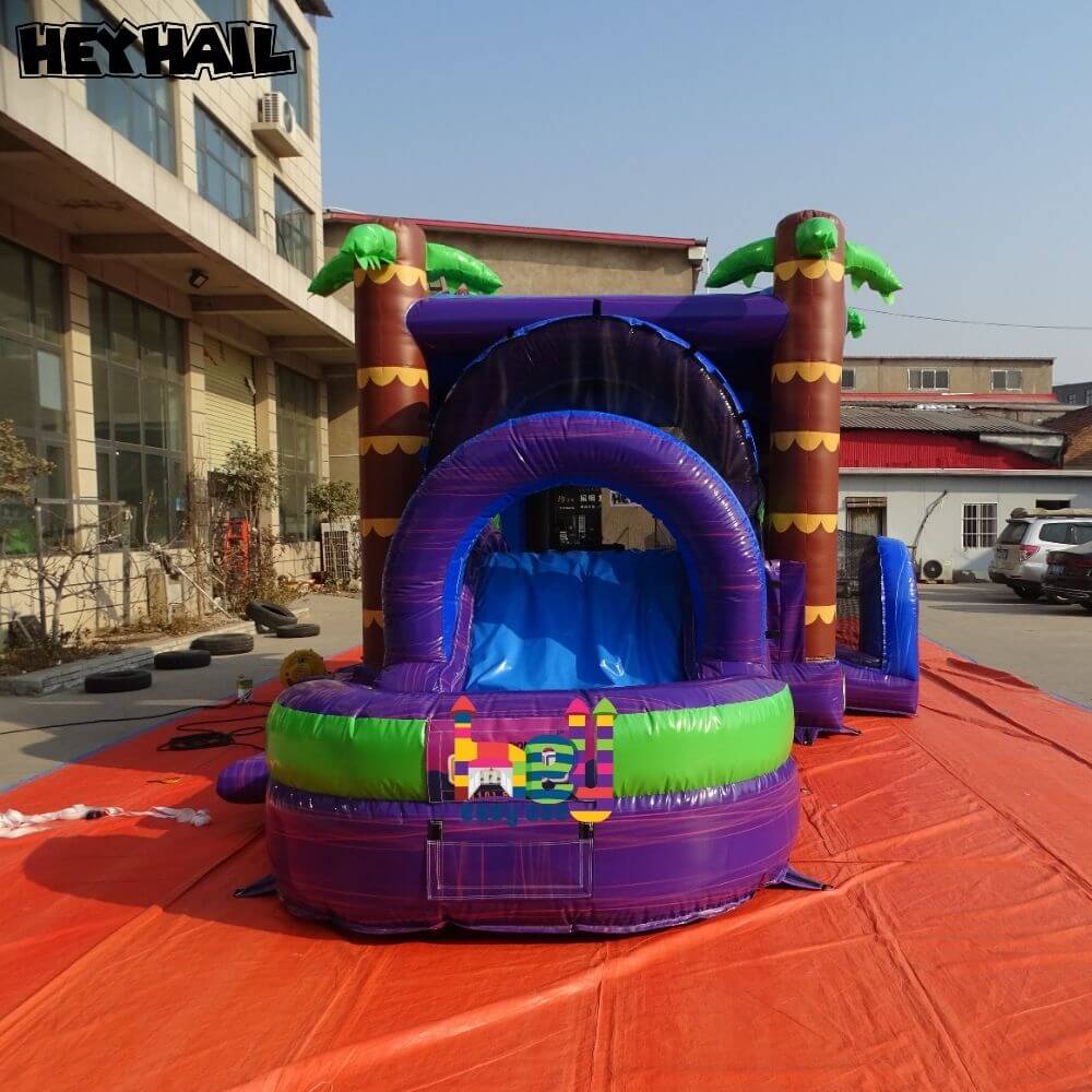Inflatable bounce house Inflatable water slide combo for sale